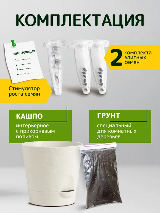 ЭкоКлуб Набор для выращивания "Бонсай для начинающих. Магнолия", вариант, фото 2
