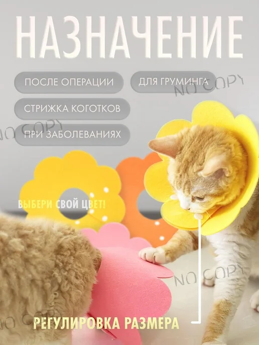 Воротник д животных М Желтый, желтый, фото 2