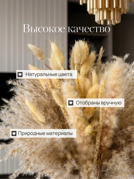 STORVEX Сухоцветы для декора и интерьера натуральные сухие букет, вариант, фото 4