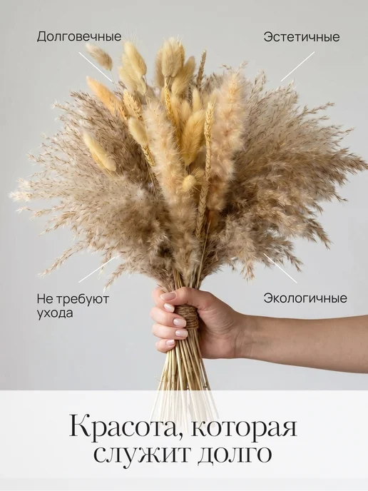 STORVEX Сухоцветы для декора и интерьера натуральные сухие букет, вариант, фото 6
