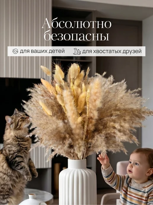 STORVEX Сухоцветы для декора и интерьера натуральные сухие букет, вариант, фото 8