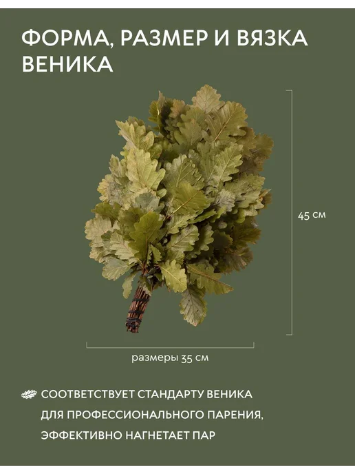 ФИТОТРАДИЦИИ Веник для бани дубовый, 2 шт, фото 4