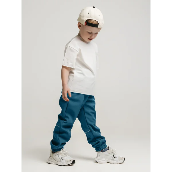 Штаны непромокаемые демисезонные софтшелл