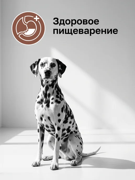 Сухой корм Organix Gastrointestinal Профилактика для собак, 10 кг, фото 2