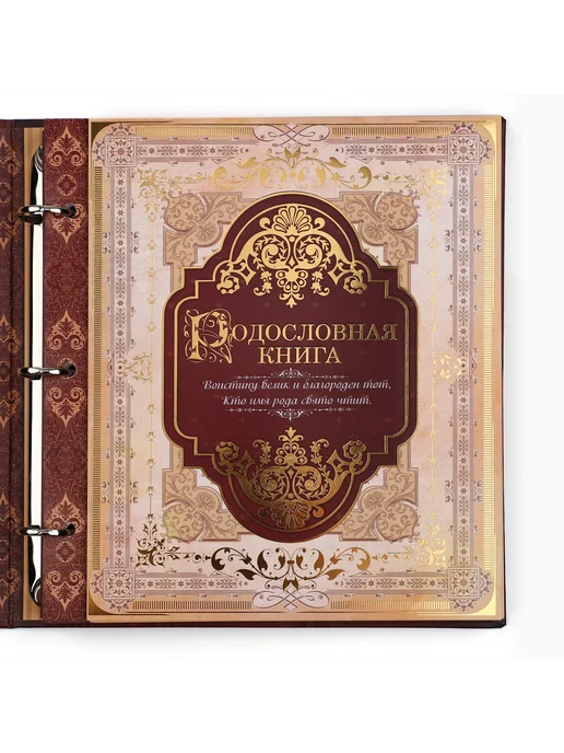Семейная родословная книга на кольцах, коричневый, фото 5