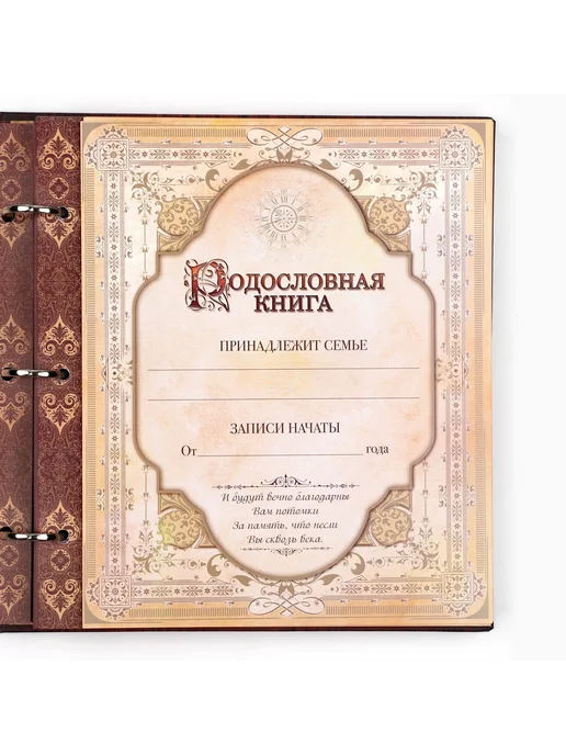 Семейная родословная книга на кольцах, коричневый, фото 7