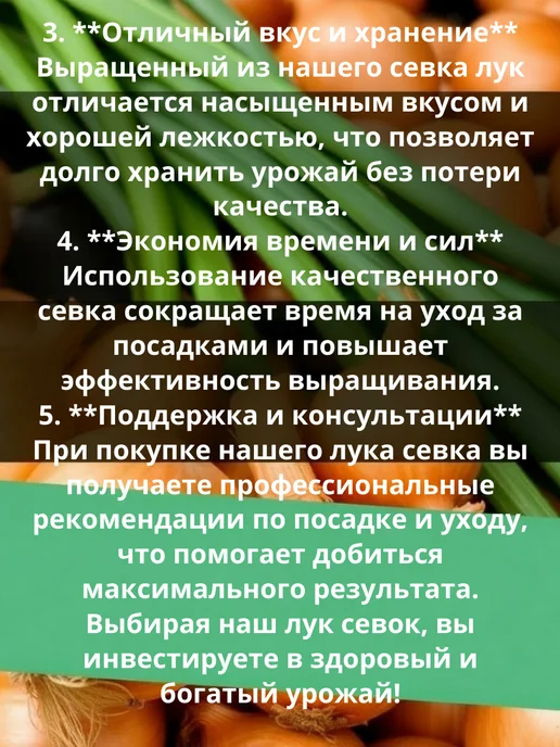 луковый ассортимент Лук севок на посадку выборка Арзамасский 0.5 кг, 500 г, фото 3