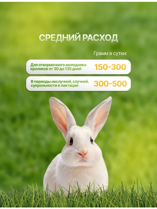 Белгородские корма Комбикорм для взрослых кроликов, 5 кг, 5 кг, фото 3