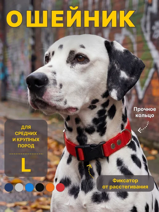 RICH BREED Ошейник для собак средних и крупных пород повседневный, красный