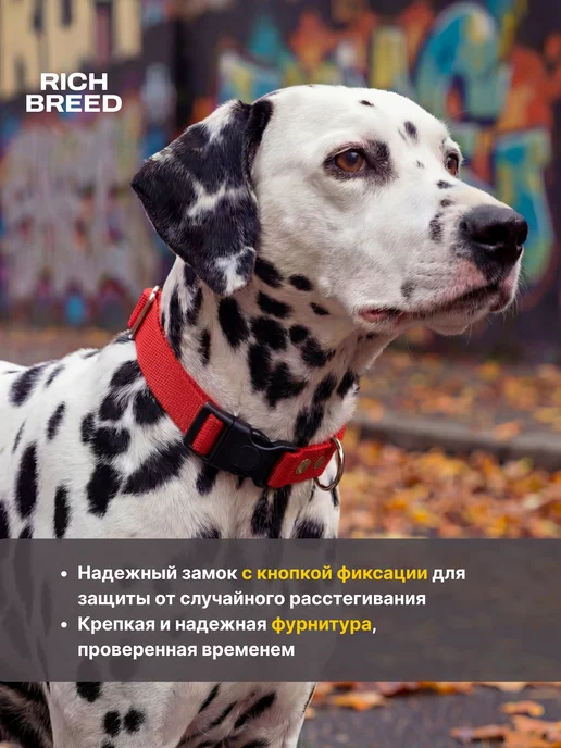 RICH BREED Ошейник для собак средних и крупных пород повседневный, красный, фото 3