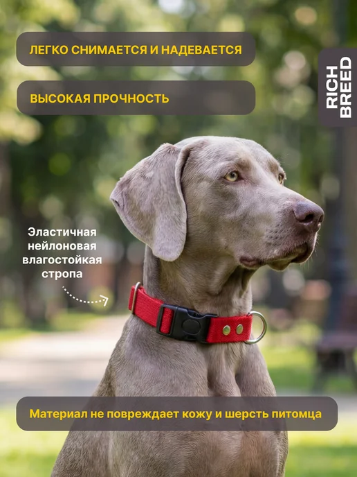 RICH BREED Ошейник для собак средних и крупных пород повседневный, красный, фото 4
