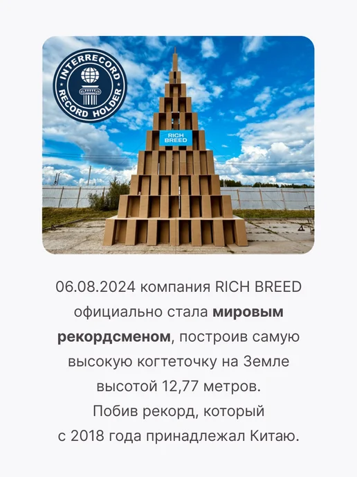 RICH BREED Ошейник для собак средних и крупных пород повседневный, красный, фото 8