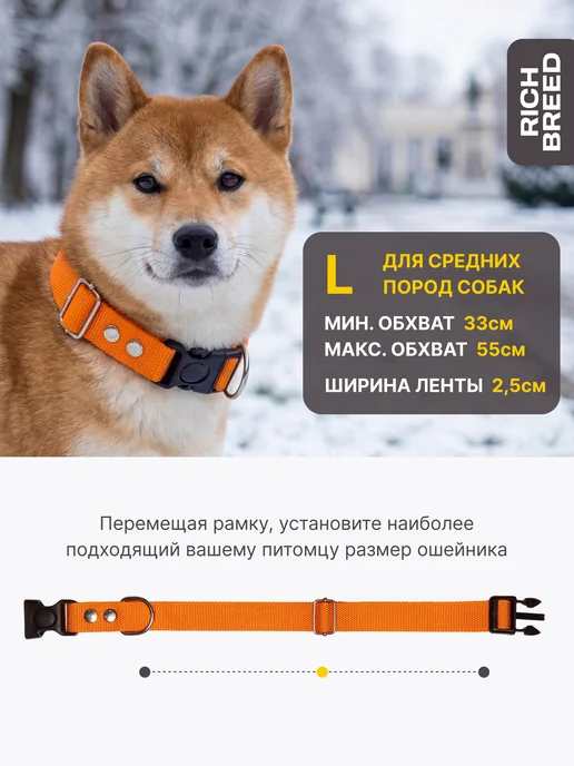 RICH BREED Ошейник для собак средних и крупных пород повседневный, оранжевый, фото 2