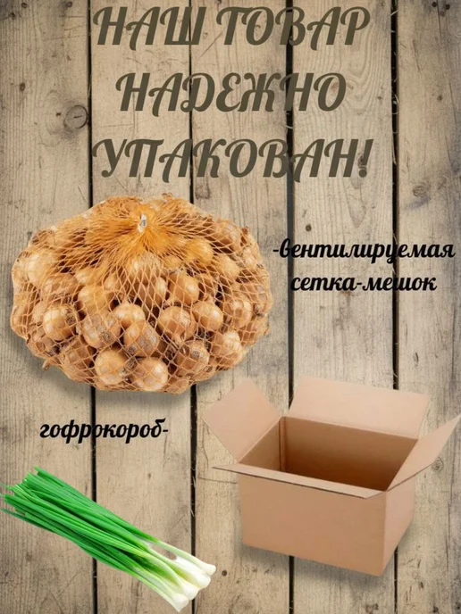 луковый ассортимент Лук севок на посадку выборка Золотое семко 0.3 кг, 1 кг, фото 4