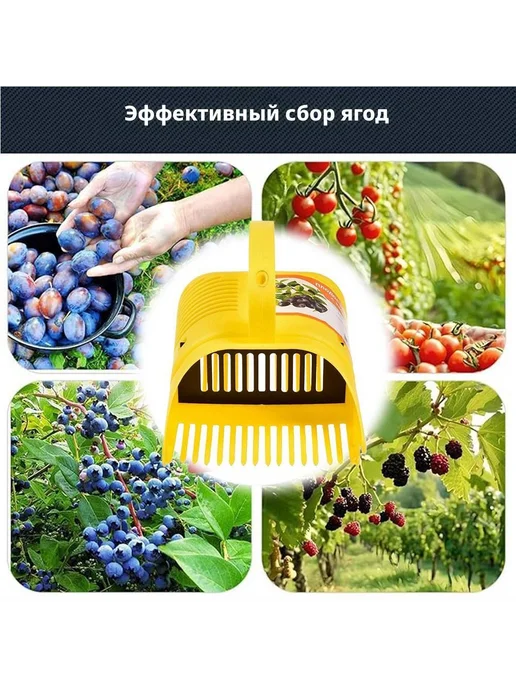 Плодосборник Желтый, желтый, фото 2