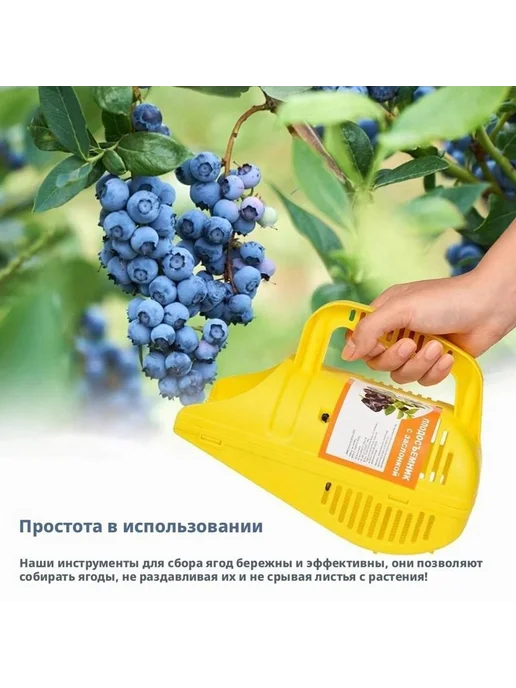 Плодосборник Желтый, желтый, фото 6