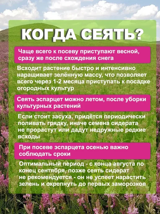 Dtim Эспарцет семена 3кг, 2 кг, фото 2