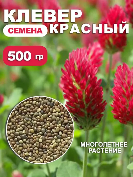 Dtim Клевер красный семена 500гр, 500 г