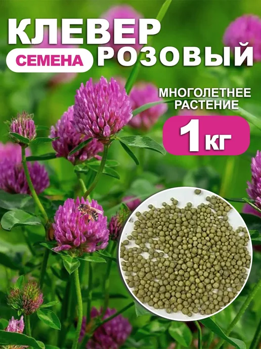 Dtim Клевер розовый семена 1 кг, 1 кг