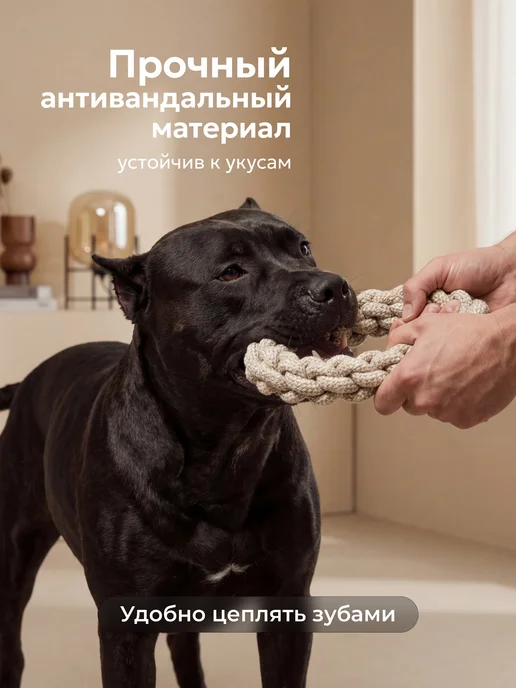Усатый Рекс Крепкий канат для собак 21см, белый, фото 2