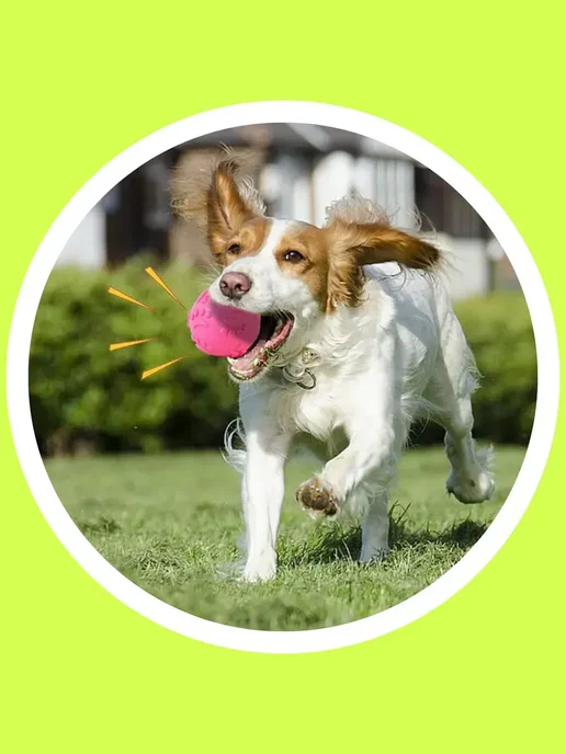 OhMyPets Резиновые игрушки для собак и щенков набор 5в1, голубой, фото 5