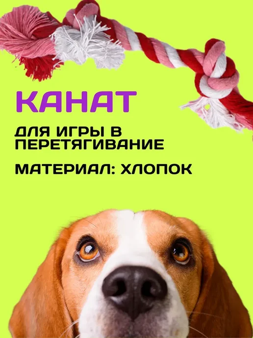 OhMyPets Резиновые игрушки для собак и щенков набор 5в1, голубой, фото 6