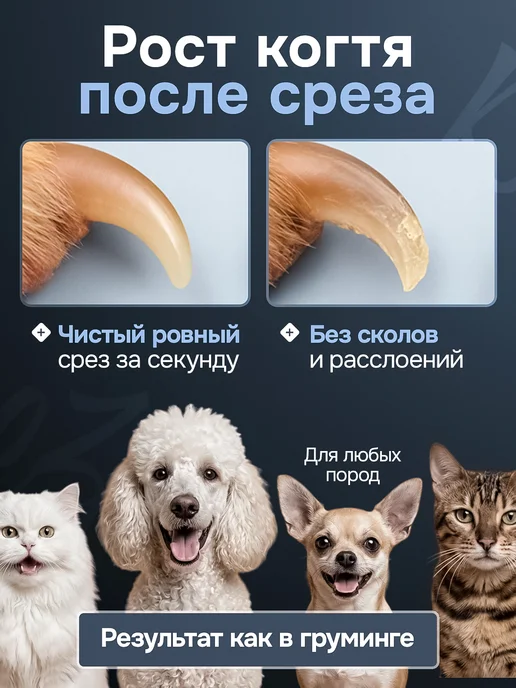 PopsMops когтерезка с подсветкой для кошек и собак, синий, фото 3
