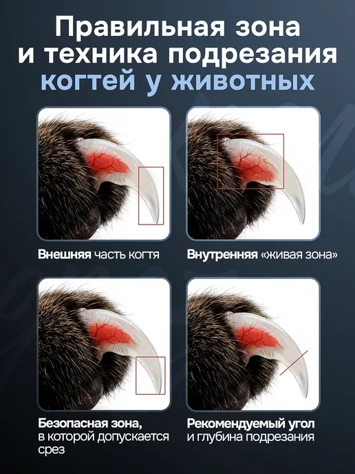 PopsMops когтерезка с подсветкой для кошек и собак, синий, фото 6