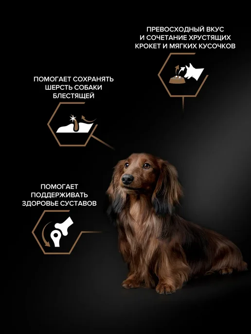 Сухой корм PRO PLAN Карликовых для собак, мелкие, говядина, 2,58 кг, фото 3