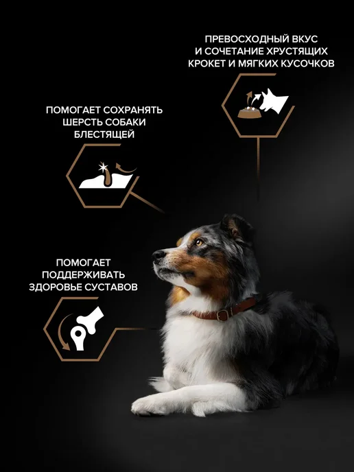 Сухой корм PRO PLAN для собак, крупные, средние, говядина, 2,58 кг, фото 3