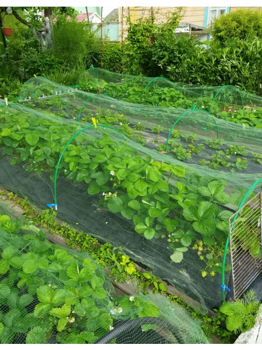 PROTENT Сетка от птиц садовая 2х10, прочная пластиковая для клубники, 2x10, фото 8