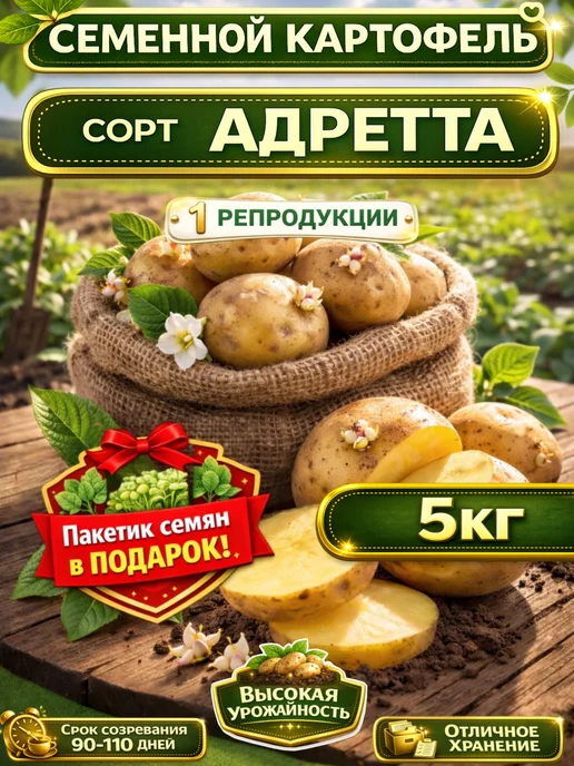 Крымский Картофель Картофель Семенной Адретта на посадку, коричневый