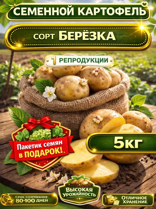 Крымский Картофель Семенной Картофель Вега, коричневый