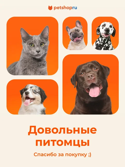 PetShop Игрушка для собак прочная кость с пищалкой "Бастер", 19 см, серый, фото 8