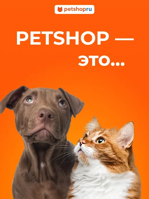 PetShop Игрушка для собак мяч с мордочкой "Кругляш", 8 см, оранжевый, фото 3