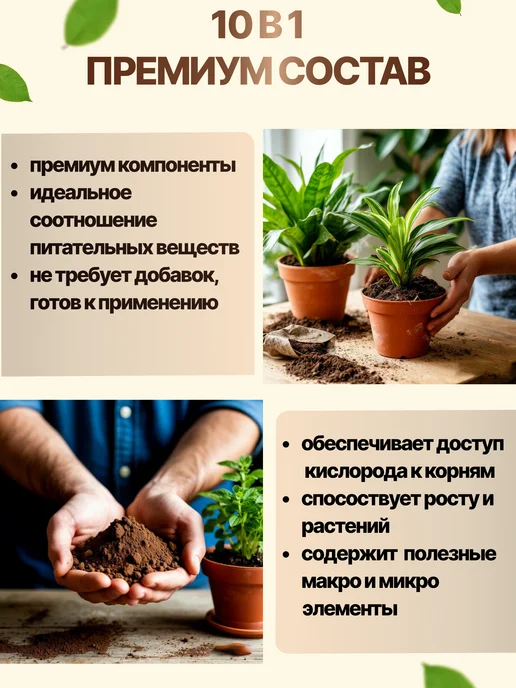 Ёж и мята Грунт для Цикламена, авторский готовый, премиум 2 литра, вариант, фото 3