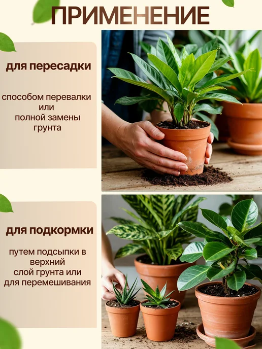 Ёж и мята Грунт для Цикламена, авторский готовый, премиум 2 литра, вариант, фото 4