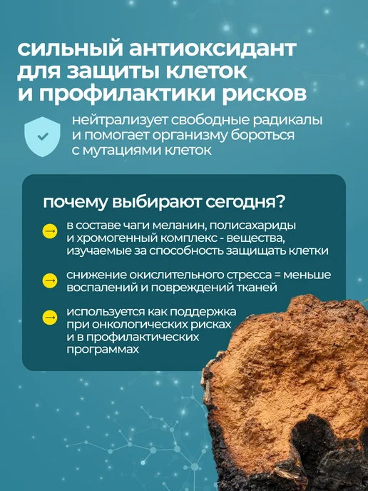 ALTIME Траметес Чага Шиитаке в капсулах, вариант, фото 3