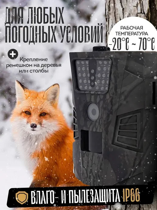 Дек Фотоловушка для охоты 12МП, вариант, фото 4