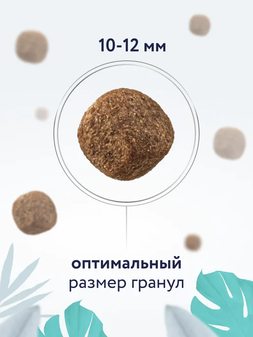 Сухой корм Florida. Hypoallergenic Vet для собак, 10 кг, фото 8