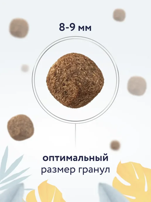 Сухой корм Florida. Urinary Struvite для собак, 0,35 кг, фото 8