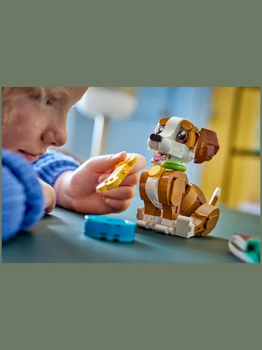 LEGO Creator 31382 Игривый щенок, вариант, фото 7