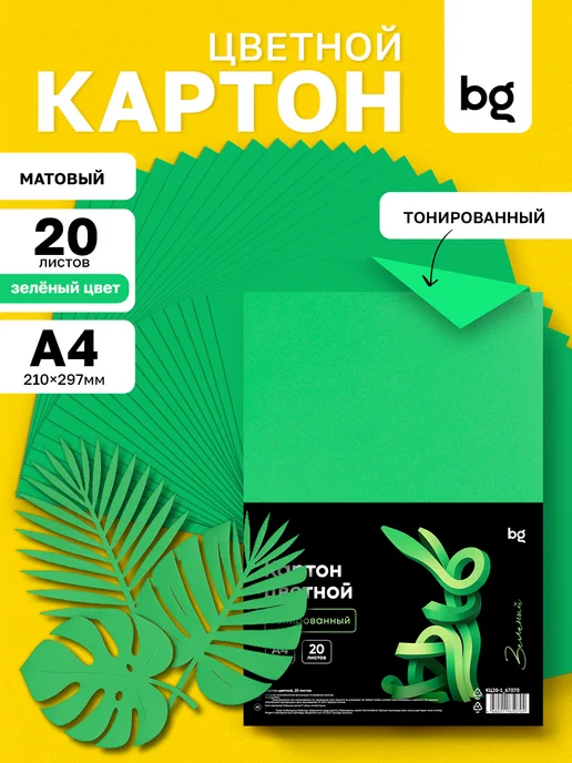 BG Цветной картон для школы А4 48 листов, зеленый