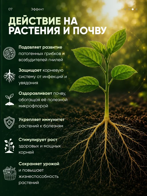 АГРОСПАРК Триходерма для защиты растений огорода и сада, вариант, фото 8