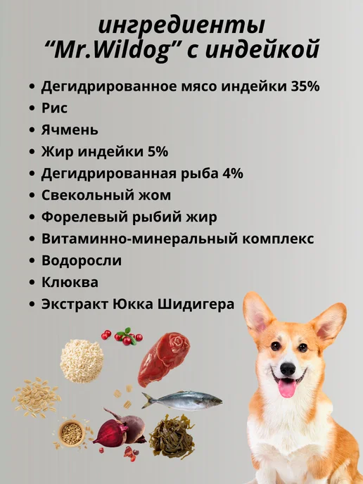 Сухой корм Mr.Wildog для собак, индейка, 0,5 кг, фото 3