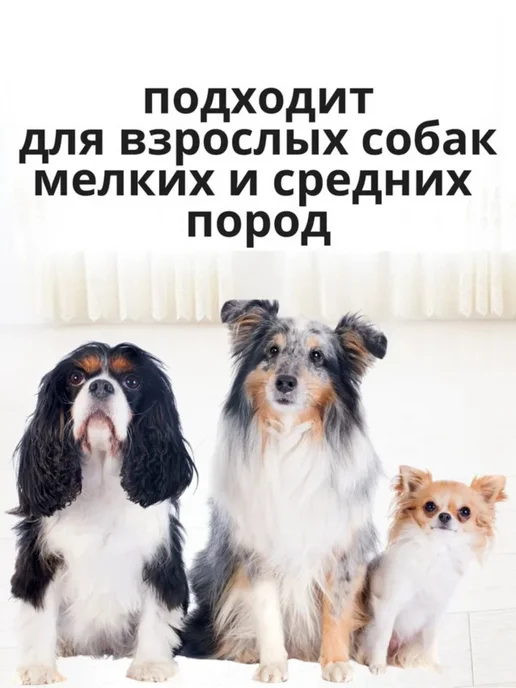 Сухой корм Mr.Wildog для собак, индейка, 0,5 кг, фото 8