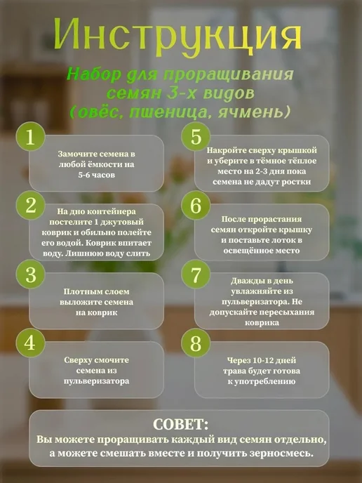 трава для кошек набор для выращивания, в упаковке 300 г, фото 2