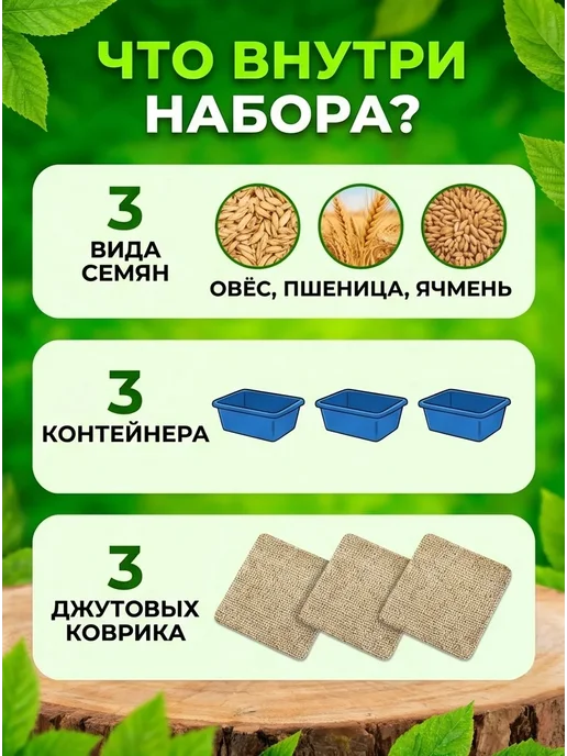 Наборы для выращивания. Трава для кошек, вариант, фото 3