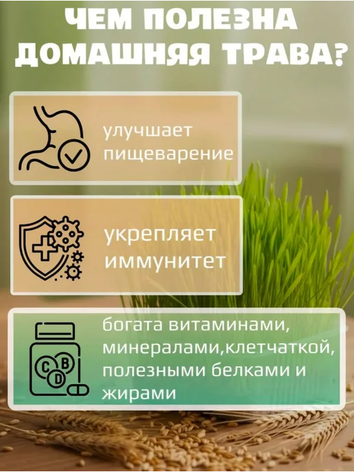 Наборы для выращивания. Трава для кошек, вариант, фото 5