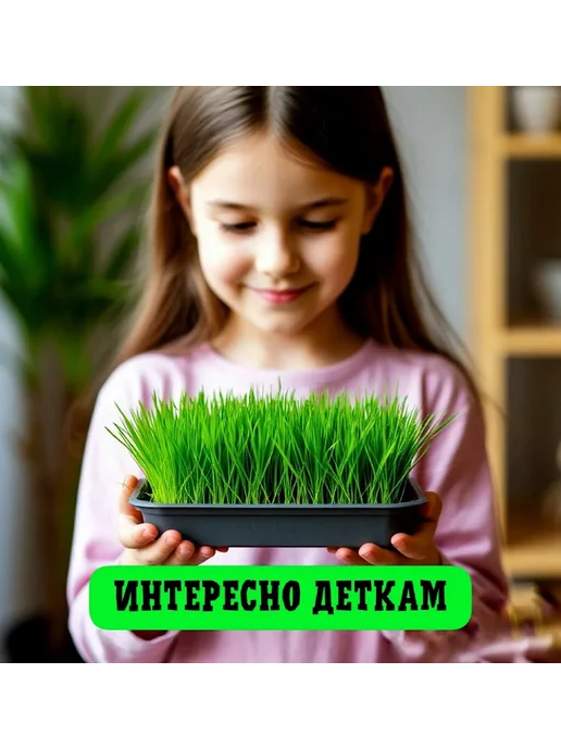Наборы для выращивания. Трава для кошек, вариант, фото 7